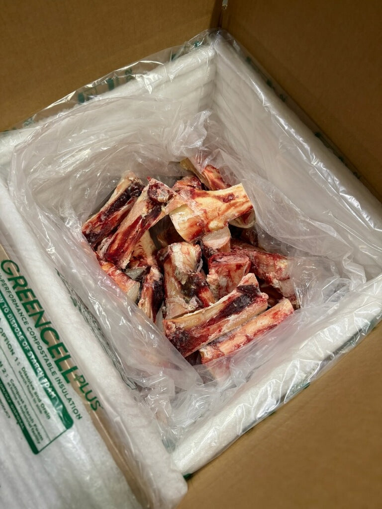 Regenerative Beef Bones – Femur (30 lb Box) | Grass-Fed & Finished