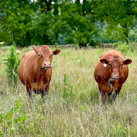 Half Beef